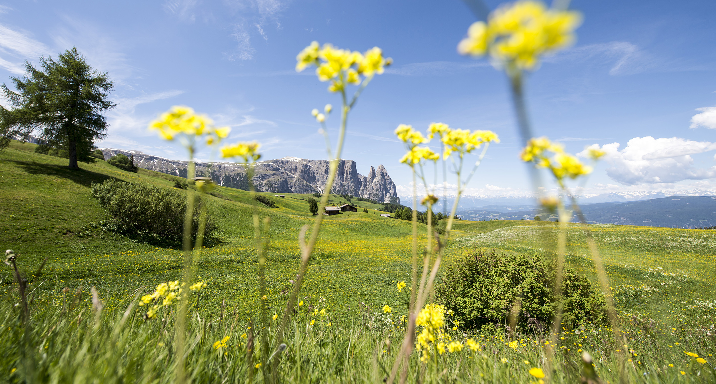 Völs am Schlern